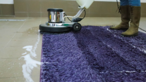 Top-Notch Carpet Cleaning Services in Evansville, IN
